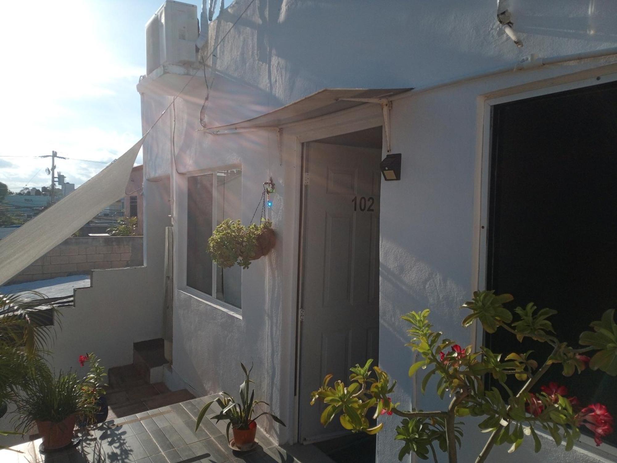 Estudio Quetzales Apartment *
