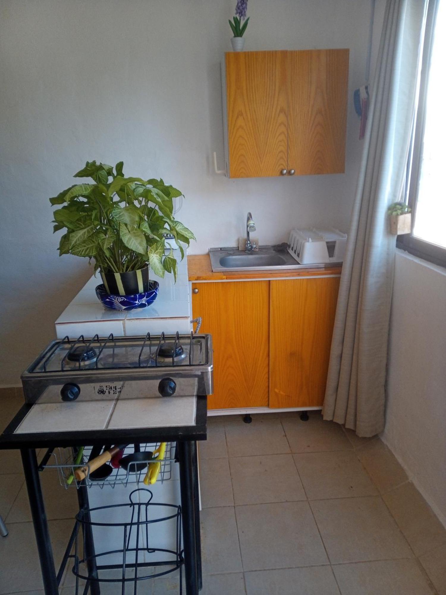 Estudio Quetzales * Cancun